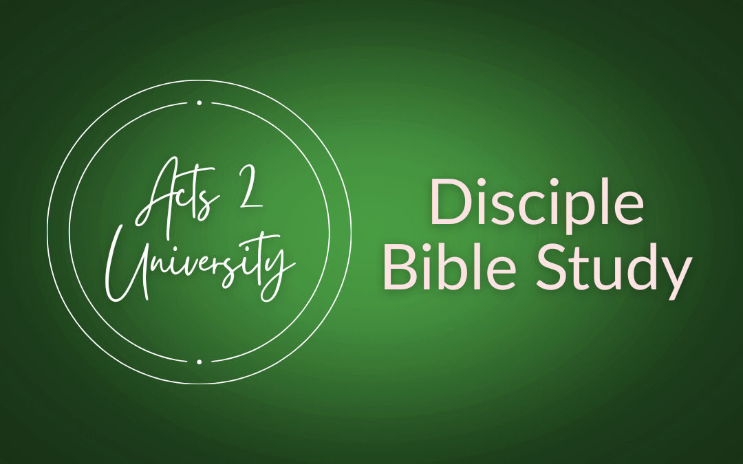 Disciple Bible Study