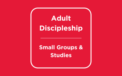 New in Adult Discipleship